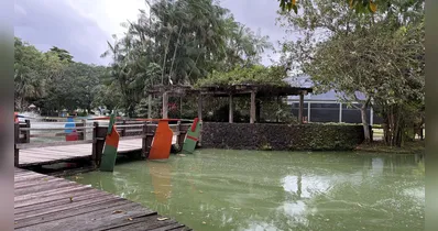 Neste domingo (21), o Parque Mangal das Garças promove oficina de biscuit para crianças, com atividades criativas e muito aprendizado.
