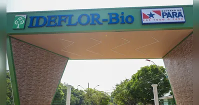 Instituto de Desenvolvimento Florestal e da Biodiversidade