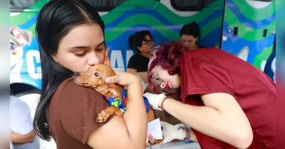 Durante a comemoração dos 131 anos de Mosqueiro, a Prefeitura de Belém oferece atendimento veterinário gratuito para cães e gatos de 5 a 10 de julho.