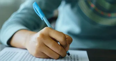 São muitas oportunidades no serviço público e em diversas áreas