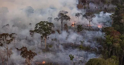El Niño eleva risco de incêndios florestais no Pará, segundo o meteorologista José Raimundo de Abreu.