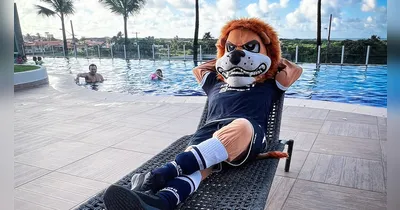 Enquanto a Copa não acaba, o Leão segue na expectativa para a sequência da temporada