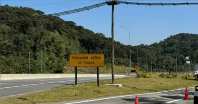 Uma  das travessia de fauna na Avenida Liberdade: estruturas criada para garantir o deslocamento seguro de animais silvestres entre áreas de vegetação.