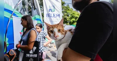 Conheça o programa de atendimento veterinário gratuito em Icoaraci e como acessar serviços essenciais para seus pets a partir do dia 22.