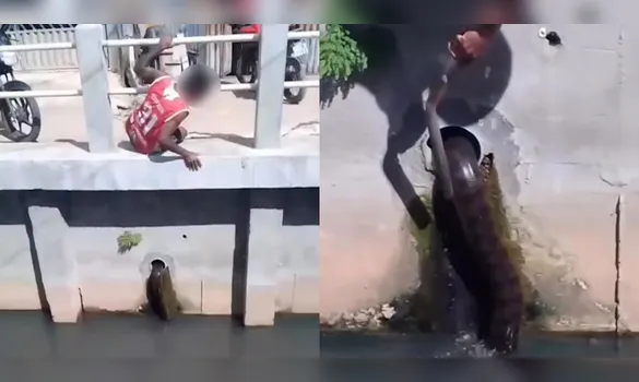 Imagem ilustrativa da imagem VÍDEO: cobra aparece em canal e assusta moradores em Belém