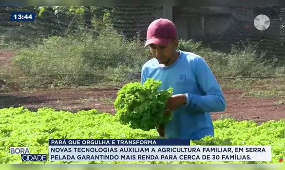 Imagem ilustrativa da imagem Hidroponia transforma vidas no novo episódio do DOLCast