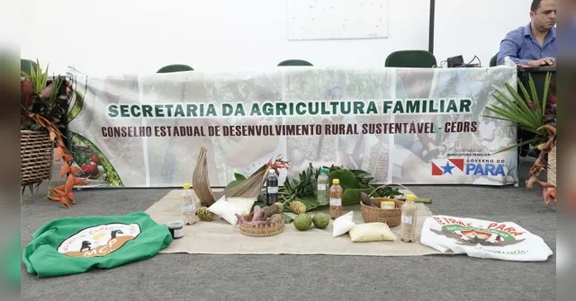 Imagem ilustrativa da notícia Secretaria da Agricultura abre vagas de emprego no Pará; confira