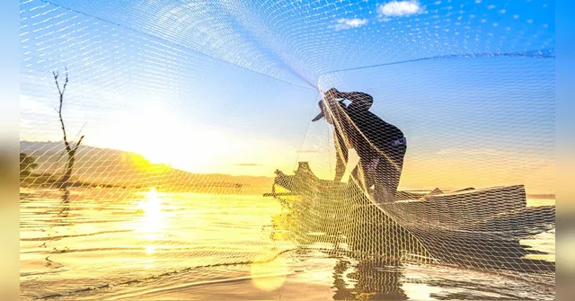 Imagem ilustrativa da notícia INSS pagará R$ 874 milhões para pescadores; veja quem recebe