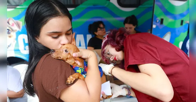 Imagem ilustrativa da notícia Atendimento veterinário gratuito: Mosqueiro recebe ação para cães e gatos