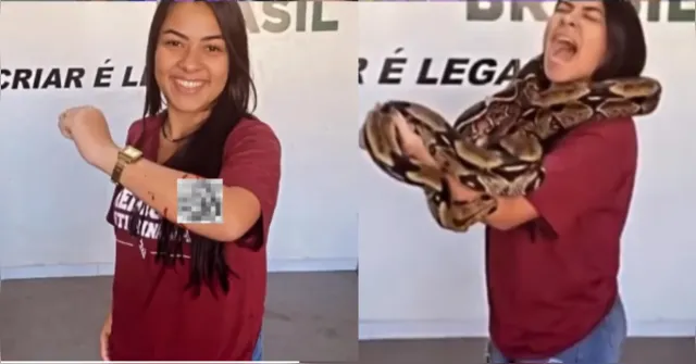 Imagem ilustrativa da notícia Jiboia morde estudante e vídeo viraliza nas redes