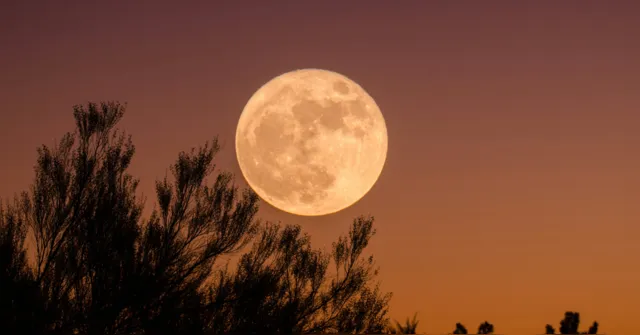 Imagem ilustrativa da notícia Lua de Morango ilumina o céu hoje (29/06); veja como observar