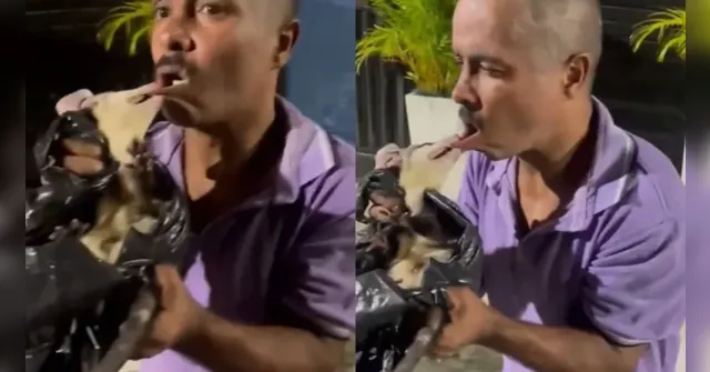 Imagem ilustrativa da notícia Homem é mordido por mucura durante "brincadeira" com animal