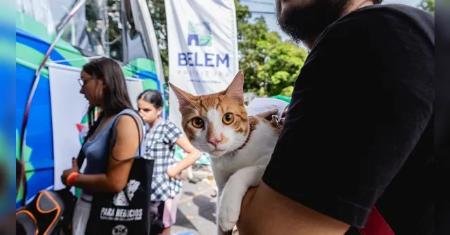 Imagem ilustrativa da notícia Icoaraci terá atendimento veterinário gratuito; veja como acessar