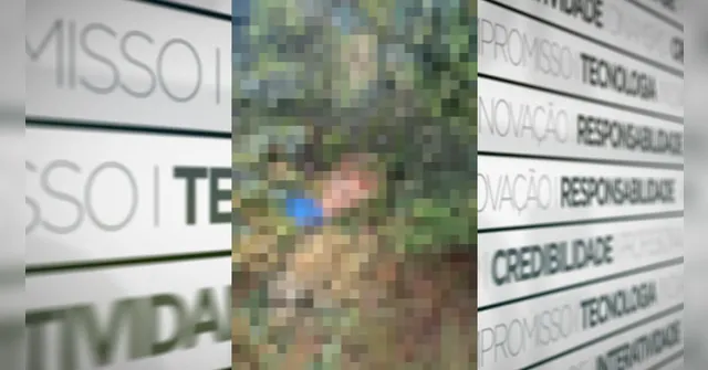 Imagem ilustrativa da notícia Homem é encontrado morto em área rural no interior do Pará