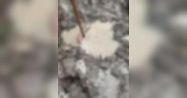 Imagem ilustrativa da notícia Corpo é encontrado no bairro do Coqueiro em Ananindeua