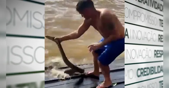 Imagem ilustrativa da notícia Sucuri de mais de 2 metros aparece entre banhistas no Marajó