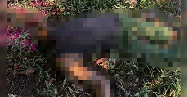 Imagem ilustrativa da notícia Vigilante é encontrado decapitado em Igarapé-Miri
