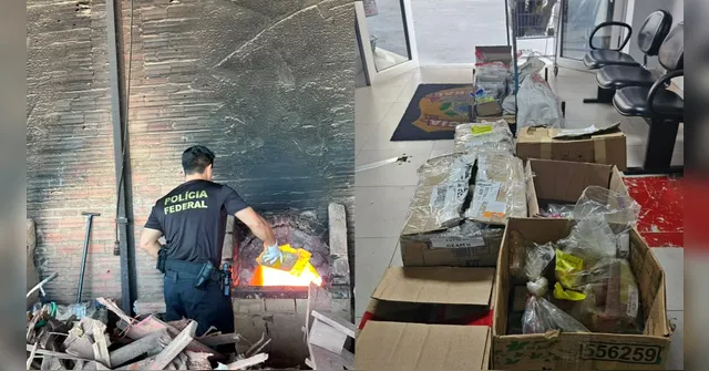Imagem ilustrativa da notícia PF incinera 630 kg de drogas apreendidas em operações no Pará