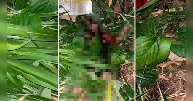Imagem ilustrativa da notícia Mulher trans é morta na zona rural de cidade paraense