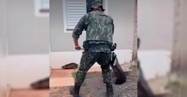 Imagem ilustrativa da notícia VÍDEO: rato gigante invade casa e assusta moradores; Veja!