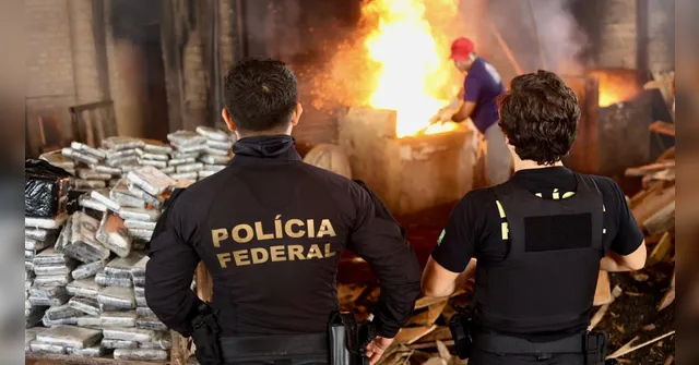 Imagem ilustrativa da notícia PF incinera mais de 4 toneladas de drogas no Pará