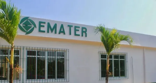 Imagem ilustrativa da imagem Emater abre processo seletivo com salários acima de R$ 4 mil no Pará