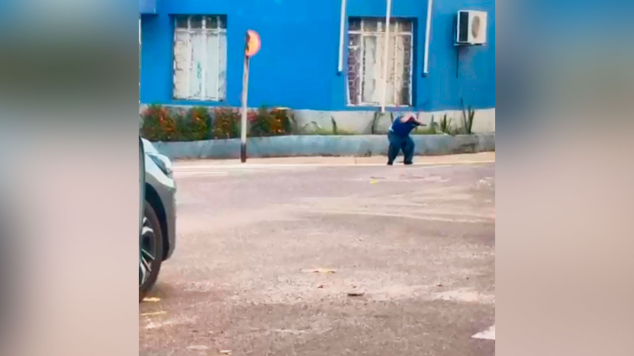 Momento em que abelhas atacam homem que estava em veículo. Ele tenta se proteger o máximo que pode.