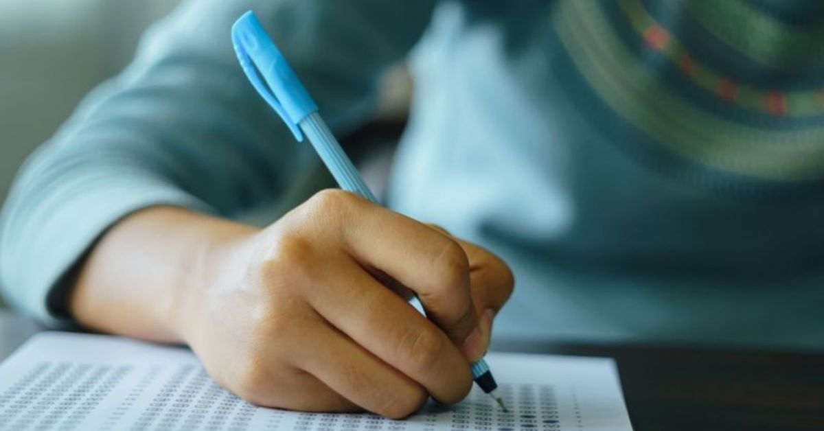 São muitas oportunidades no serviço público e em diversas áreas