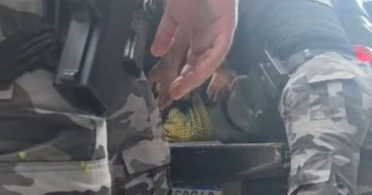 Policiais da Rotam ainda levaram o suspeito na viatura, mas ele não resistiu