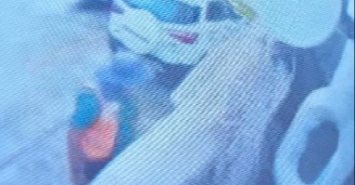 Câmeras instaladas no motorhome registraram o momento em que um homem tenta abrir o veículo na Praça do Arame.