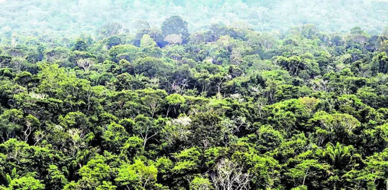 A UFPA e o Instituto Evandro Chagas transformam a biodiversidade amazônica em tecnologia.