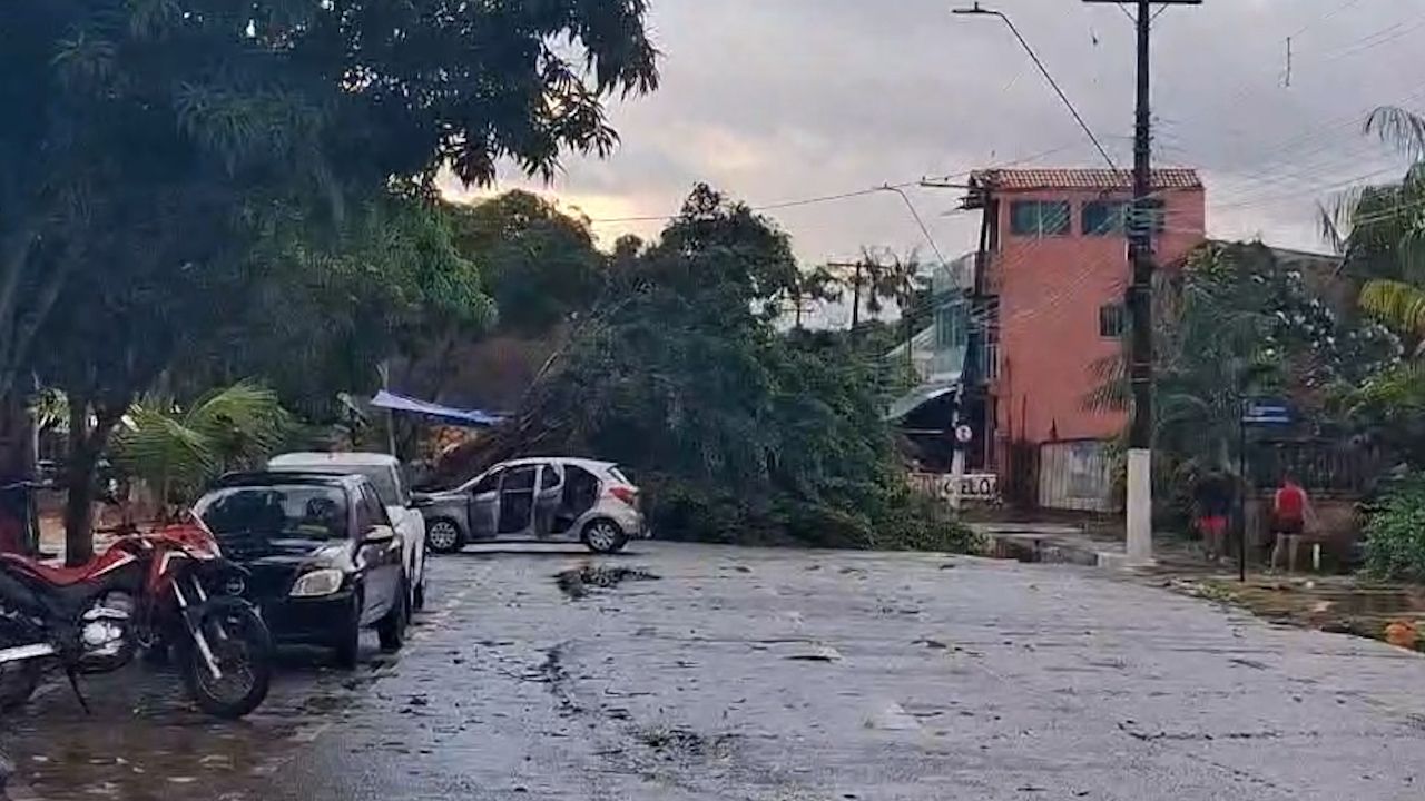 A chuva não foi tão forte, mas provocou vendaval que derrubou árvores