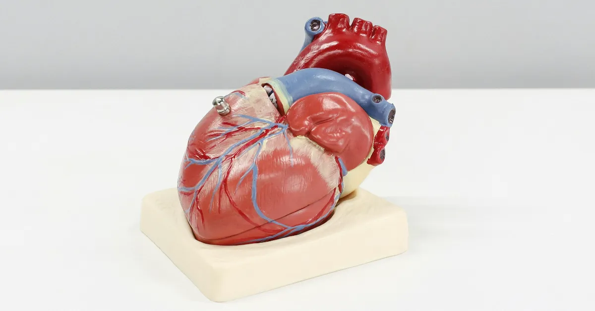 Uma partícula pouco conhecida, a lipoproteína(a), ou Lp(a), pode aumentar silenciosamente o risco cardiovascular; saiba como um simples exame de sangue pode identificar esse fator de risco.
