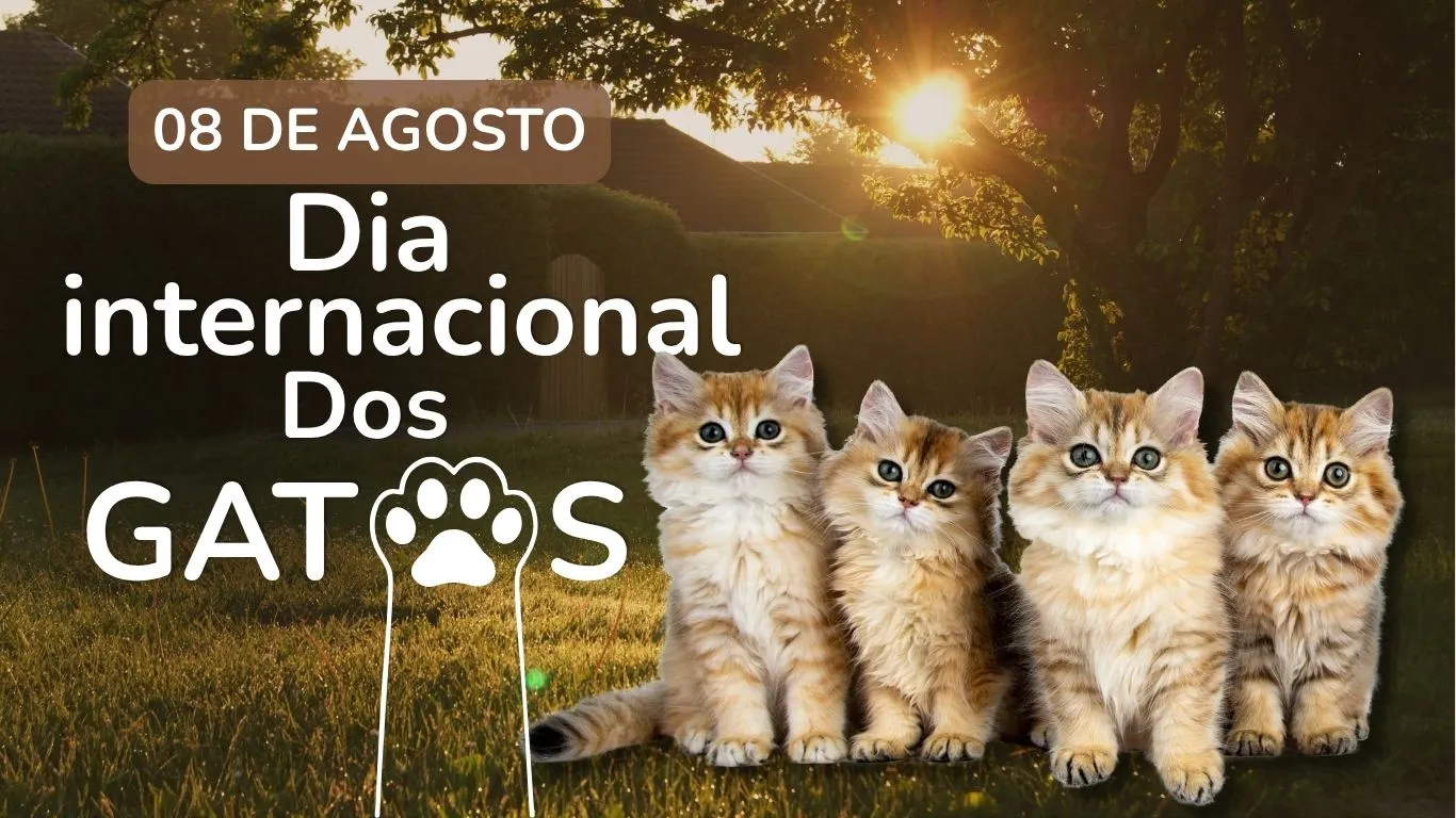 Celebrada neste 8 de agosto, a data criada em 2002 busca conscientizar sobre a posse responsável, combate ao abandono e cuidados essenciais com os felinos