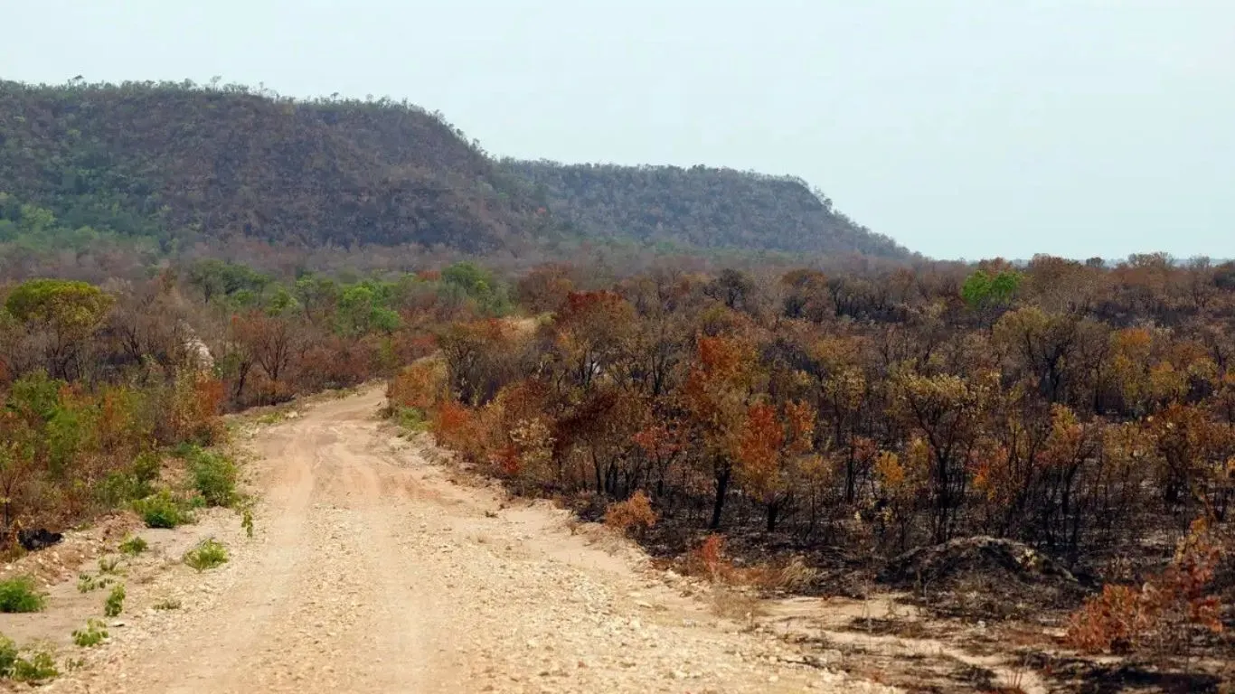 Mapeamento mostra queda da cobertura verde para 65% do território em quatro décadas; preservação reduziu impactos dos eventos climáticos extremos.