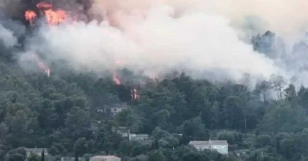 Cerca de 1.200 pessoas foram retiradas de um acampamento por causa de incêndios florestais no norte da França.