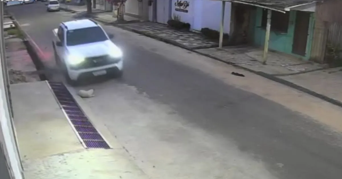 Câmeras de segurança registraram o momento em que camionete atropela cachorro em Abaetetuba.