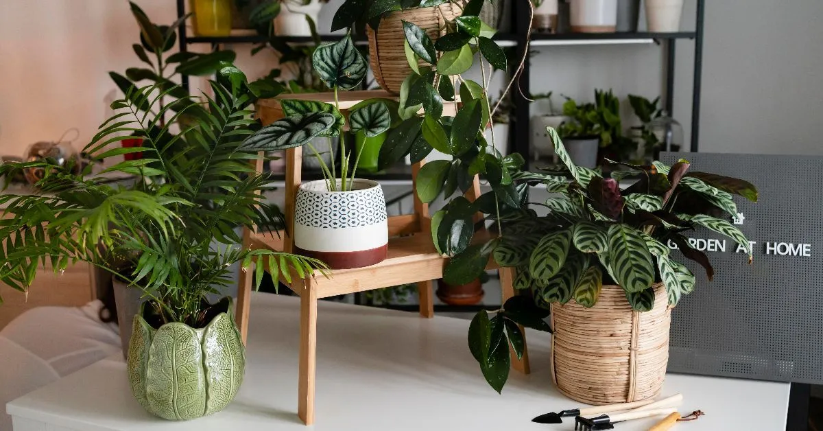 Um vaso perfumado pode parecer apenas um item de decoração, mas algumas plantas liberam compostos aromáticos que podem incomodar determinados insetos.