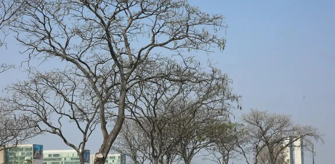Alerta laranja para baixa umidade em dez estados