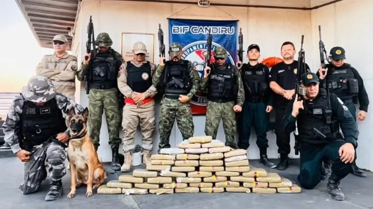 Operação no Pará apreende 49 quilos de drogas com ajuda de cão farejador. Saiba mais sobre a fiscalização e ações das forças de segurança.