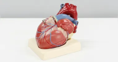 Uma partícula pouco conhecida, a lipoproteína(a), ou Lp(a), pode aumentar silenciosamente o risco cardiovascular; saiba como um simples exame de sangue pode identificar esse fator de risco.