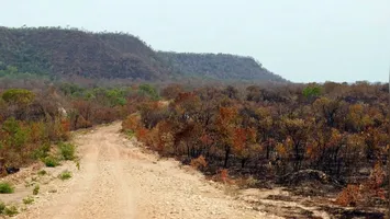 Mapeamento mostra queda da cobertura verde para 65% do território em quatro décadas; preservação reduziu impactos dos eventos climáticos extremos.