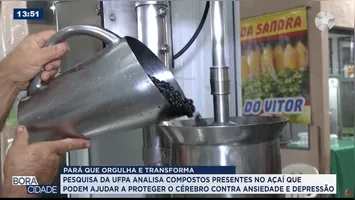 Imagem ilustrativa da notícia Pesquisa da UFPA revela potencial do açaí para a saúde do cérebro