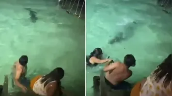 Turistas enfrentam crocodilo durante banho noturno. Conheça as recomendações de segurança e detalhes sobre o incidente.