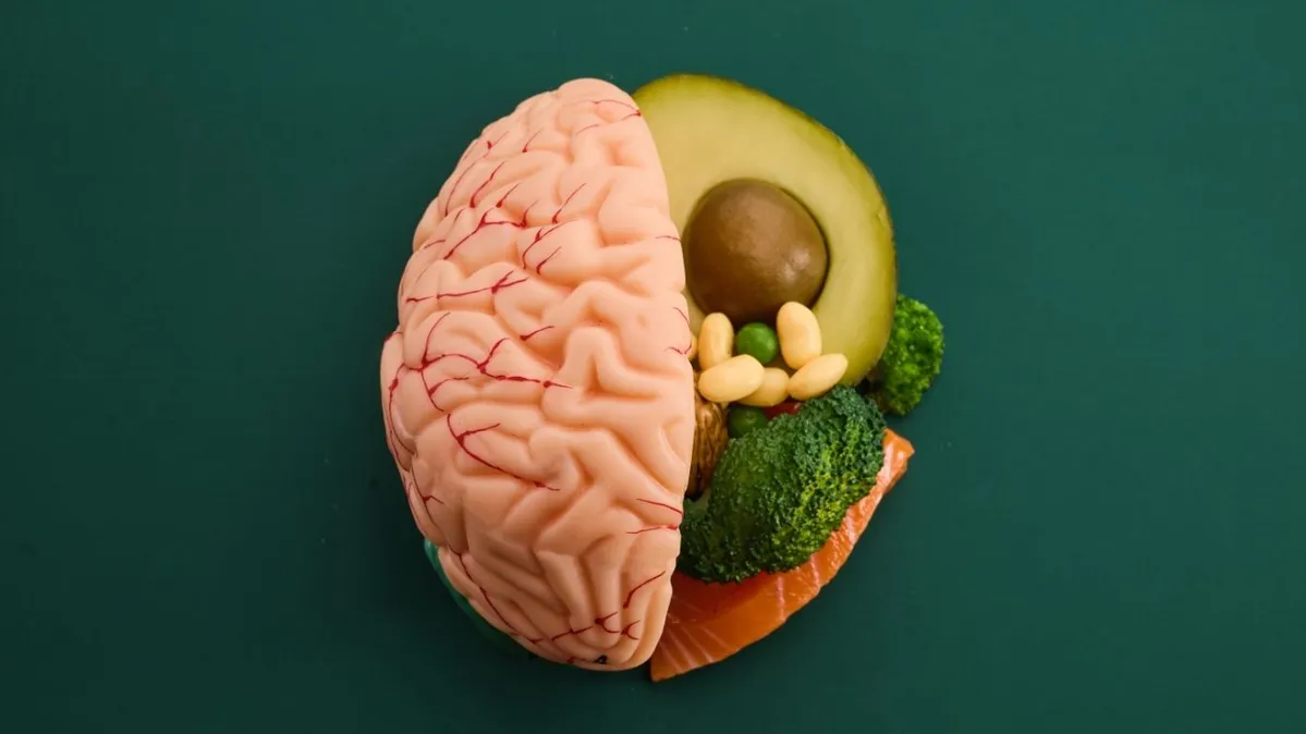 Imagem ilustrativa da notícia Alimentação e cérebro: como a dieta protege a memória