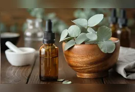 Substância de odor forte incomoda o sistema olfativo dos roedores; especialista orienta combinar a prática com medidas de prevenção.