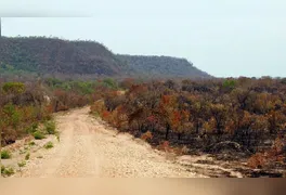 Mapeamento mostra queda da cobertura verde para 65% do território em quatro décadas; preservação reduziu impactos dos eventos climáticos extremos.