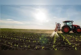 Plataforma elimina necessidade de baixar programas e passa a ser obrigatória para propriedades rurais acima de 100 hectares.