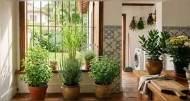 A presença dessas plantas pode contribuir para deixar determinados ambientes menos atrativos aos insetos