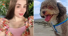 Lenny Fernández morreu durante o terremoto na Colômbia ao tentar proteger o cachorro Salomón. O animal foi encontrado vivo sob o corpo dela entre os escombros e recebeu atendimento após o resgate.